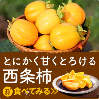 西条柿のこと ｜ 西条柿・干し柿をつくる柿専門農家 柿壺（かきつぼ） | 柿のお取り寄せ・ギフト通販