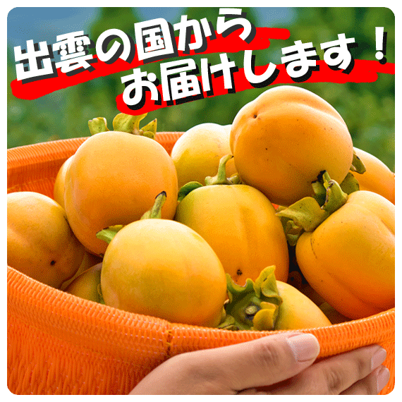 画像①TOP
