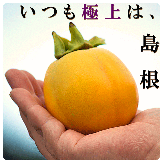 画像②TOP