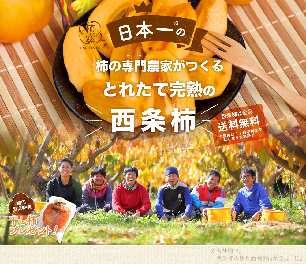 日本一の柿専門農家がつくるこだわりの西条柿。西条柿は全品送料無料。初回限定特典で干し柿プレゼント！2020年11月より発送開始予定。
