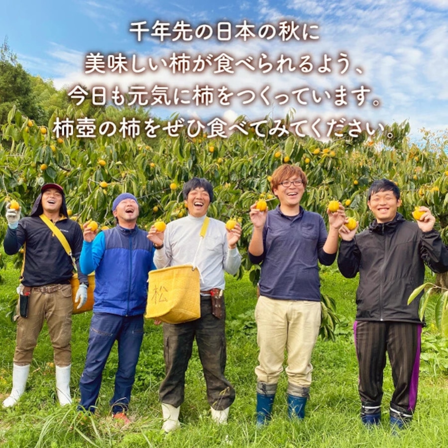 千年先の日本の秋においしい柿が食べられるよう、毎日柿をつくっています。柿壺の柿をぜひ食べてみてください。