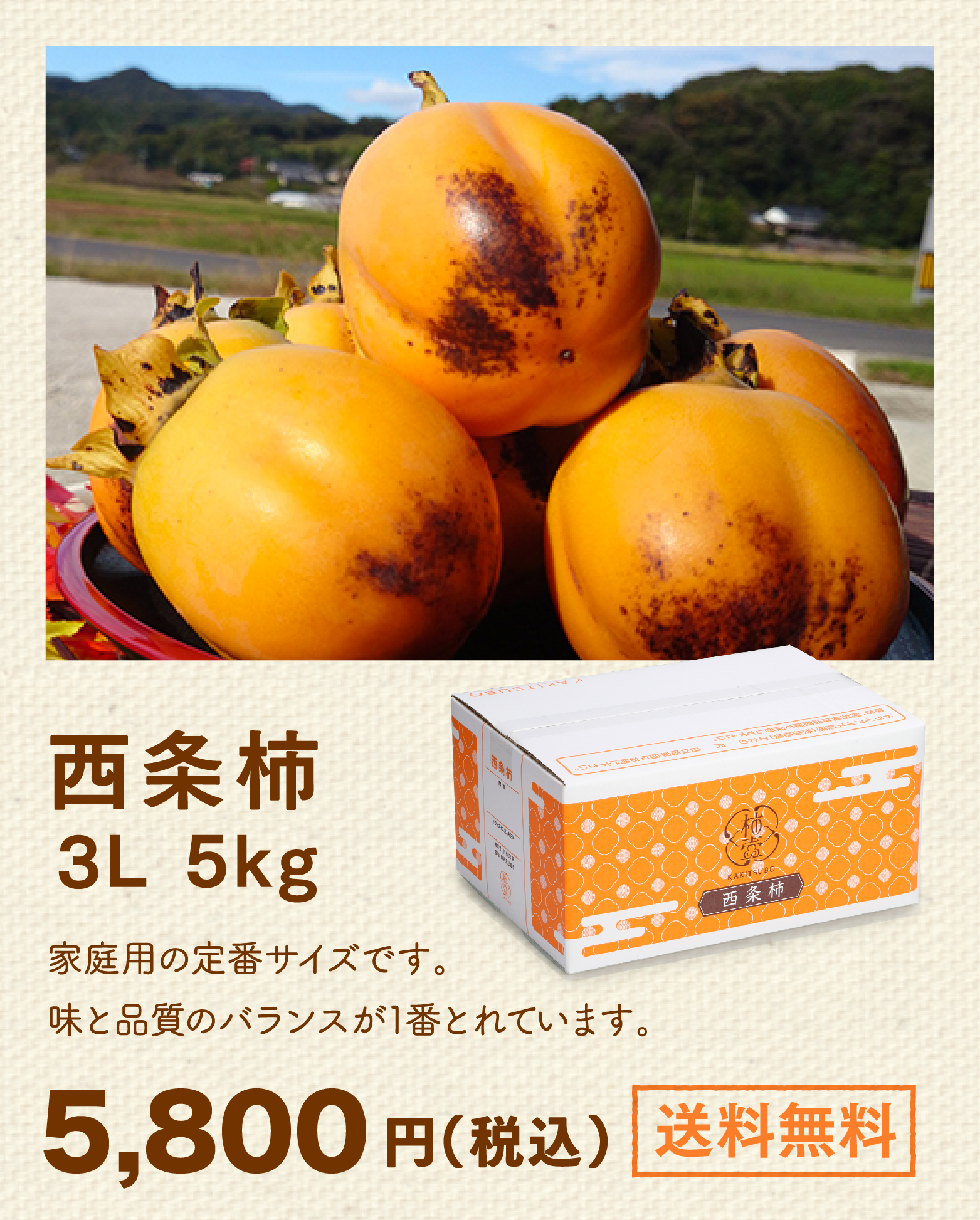西条柿3L 5.0kg。家庭用の定番サイズです。味と品質のバランスが1番とれています。5,800円（税込）。送料無料。