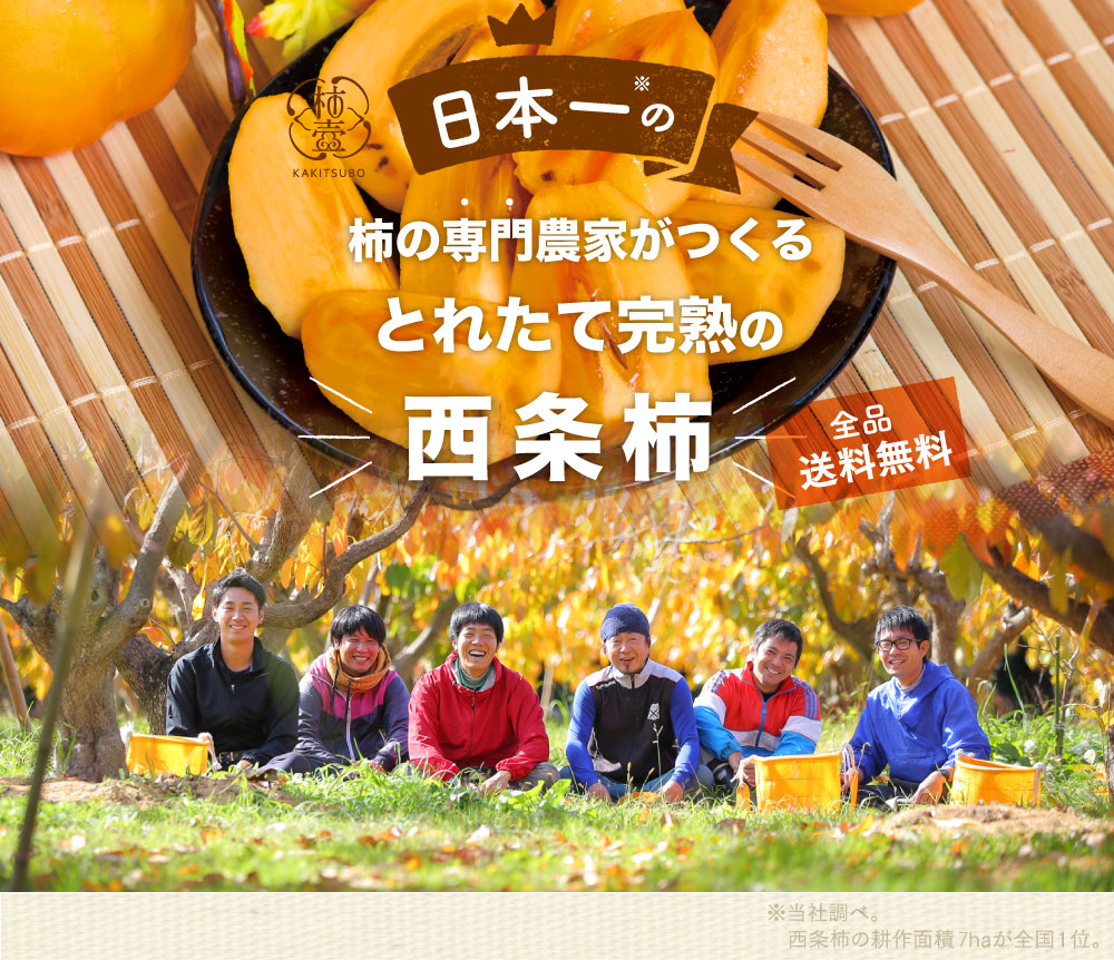 日本一の柿専門農家がつくるこだわりの西条柿。西条柿は全品送料無料。初回限定特典で干し柿プレゼント！2020年11月より発送開始予定。
